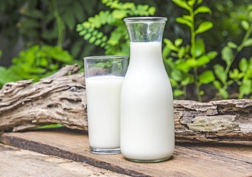 15 Excellent Foods That Fight Bad Breath Fight Bad Breath Fight Bad Breath / 12 Excellent Foods
