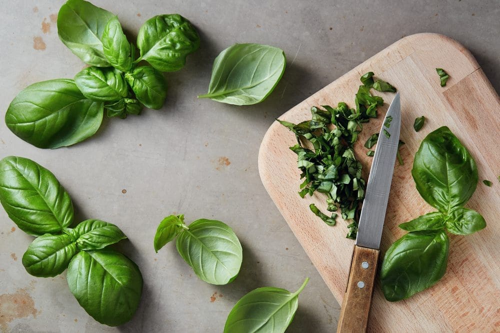 15 Excellent Foods That Fight Bad Breath Fight Bad Breath Fight Bad Breath / 12 Excellent Foods