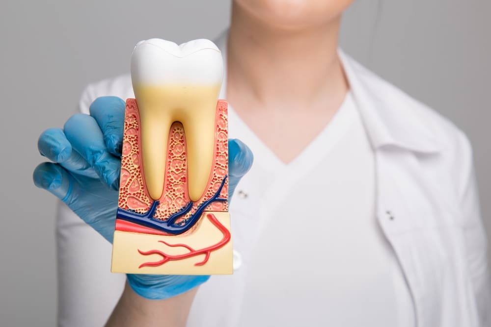 Guide To Gum Disease: Types, Symptoms, And Treatment